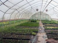 Plant Nurseries in Greater Noida