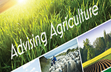 Greater Noida Agriculture