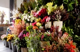 Flower Shop in Greater Noida