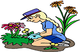 Greater Noida Gardener