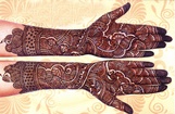 Greater Noida Mehendi Artists 