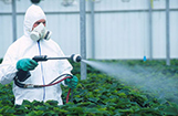 Greater Noida Pesticide Dealers