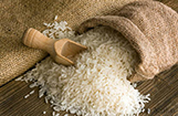 Greater Noida Rice Wholeseller