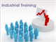 Industrial Training in Greater Noida